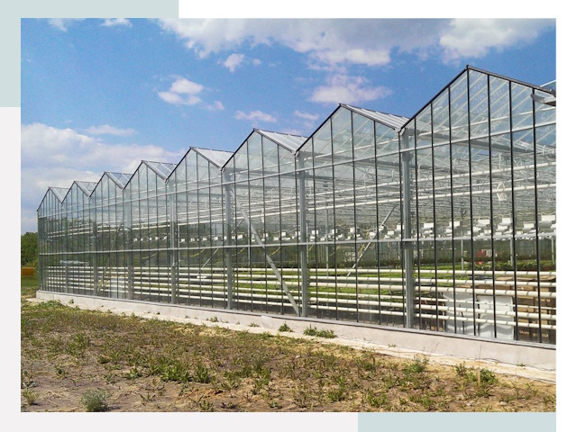 Строительство теплиц в Отрадный от 652 руб. за м²